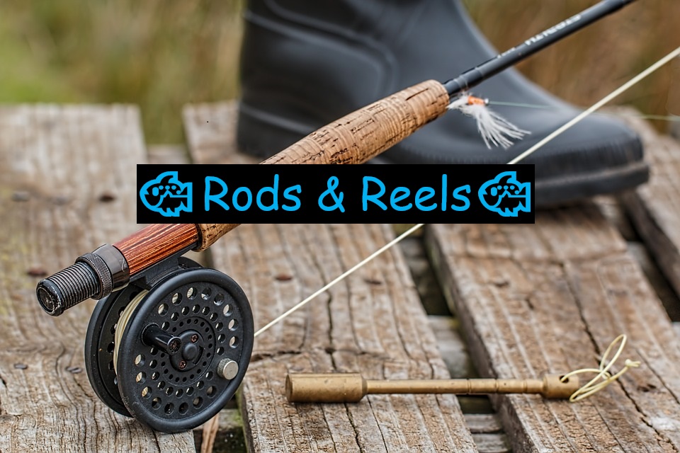 Rods & Reels